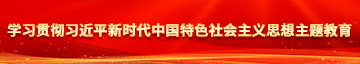 操我小穴h视频学习贯彻习近平新时代中国特色社会主义思想主题教育