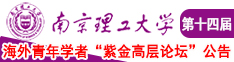 曰逼大全南京理工大学第十四届海外青年学者紫金论坛诚邀海内外英才！